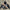 Men Niche Pullover Outer Wear Hooded Top Men