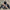 Men Niche Pullover Outer Wear Hooded Top Men